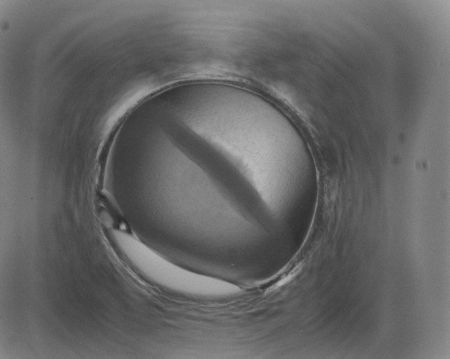 X0000083561463200702231551