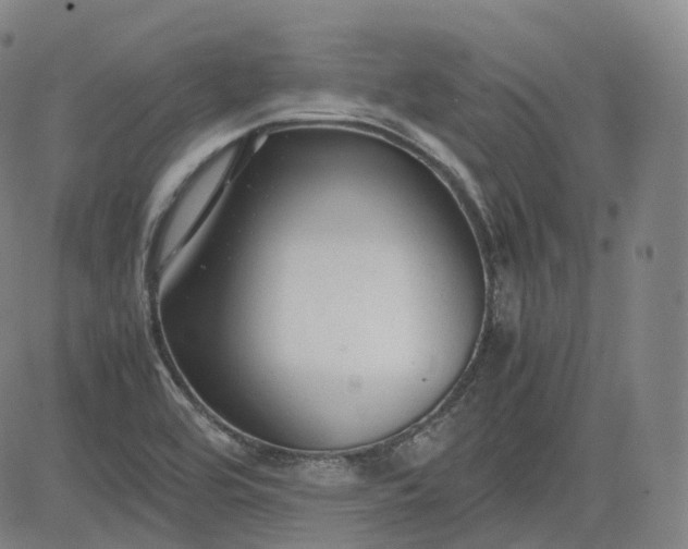 X0000083561464200702231551