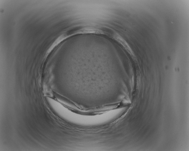 X0000083561465200702231551