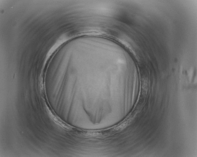 X0000083561466200702231551