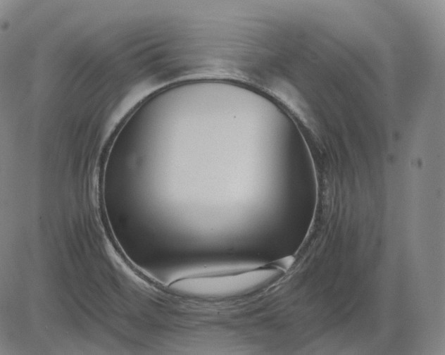 X0000083561468200702231551