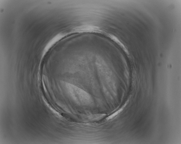 X0000083561469200702231550