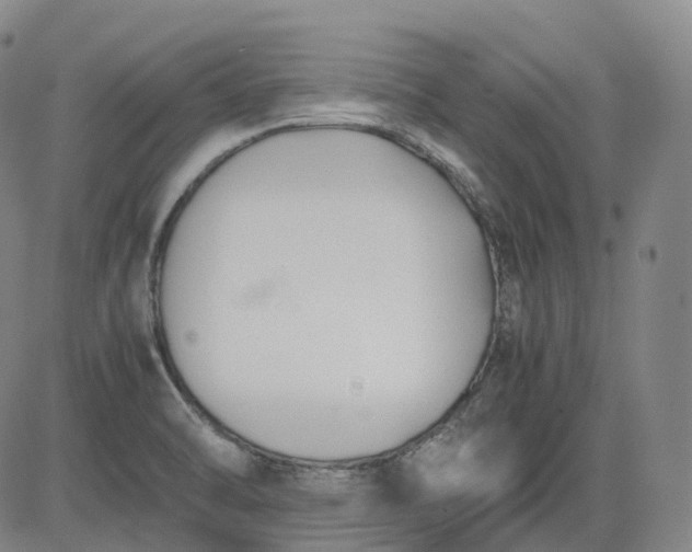 X0000083561470200702231550