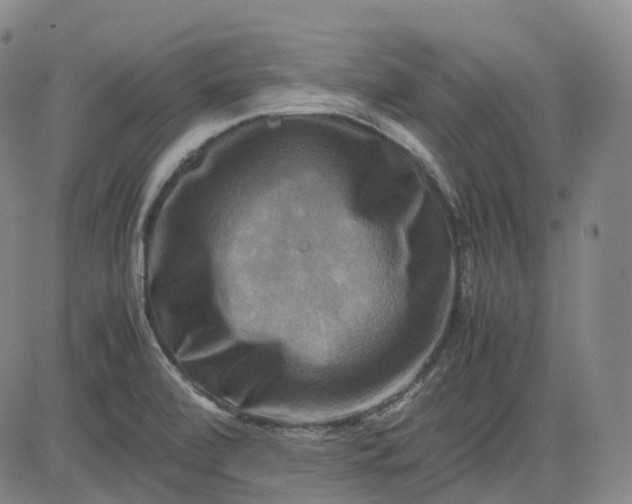 X0000083561472200702231550