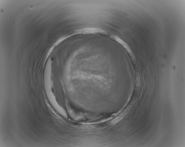 X0000083561473200702231550