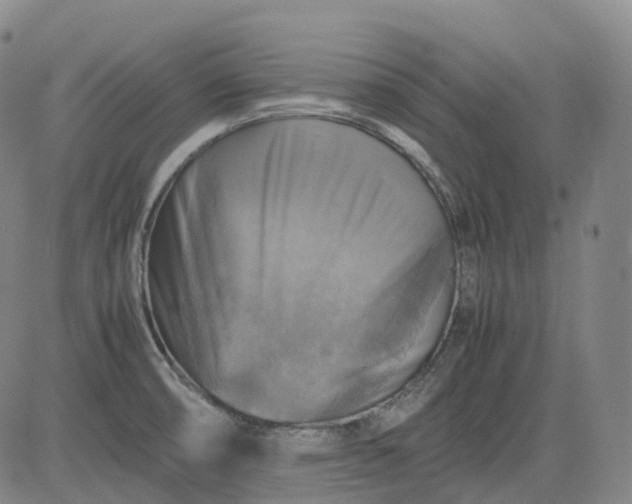 X0000083561474200702231550