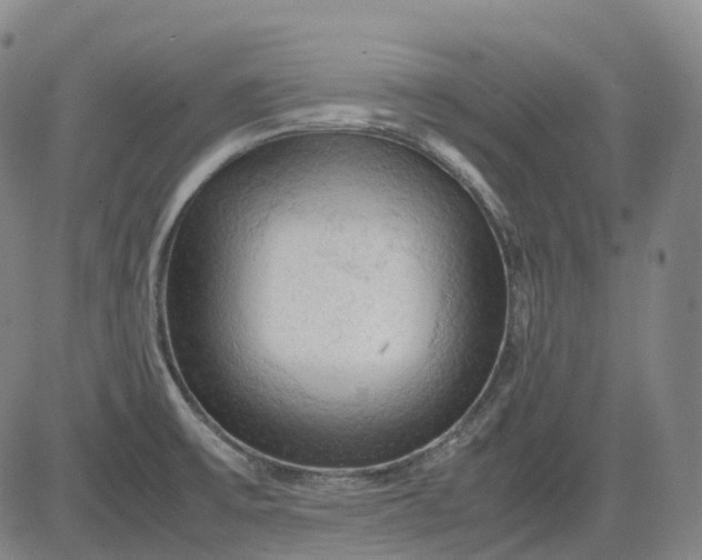 X0000083561475200702231550