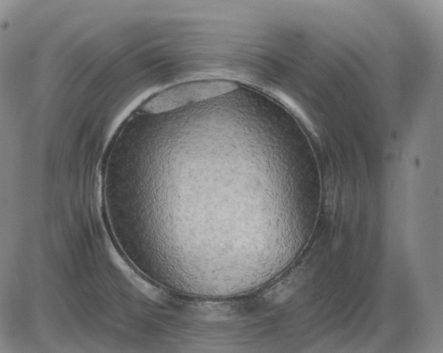 X0000083561476200702231550