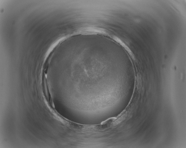 X0000083561477200702231550