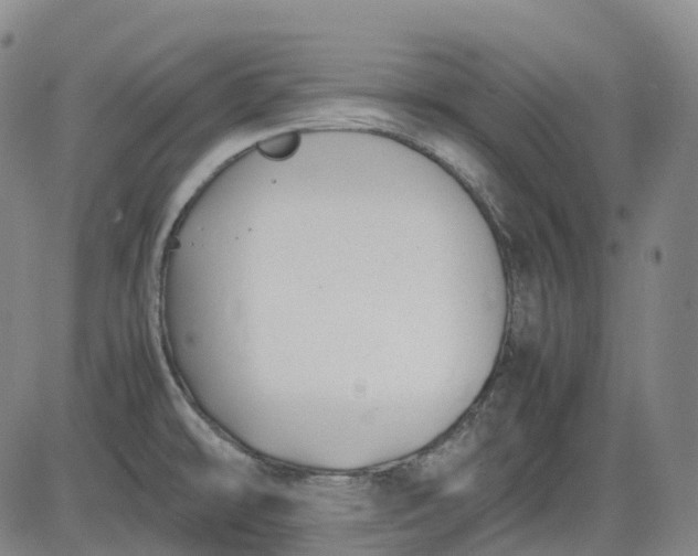 X0000083561478200702231550