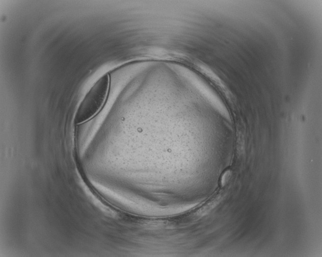 X0000083561479200702231550