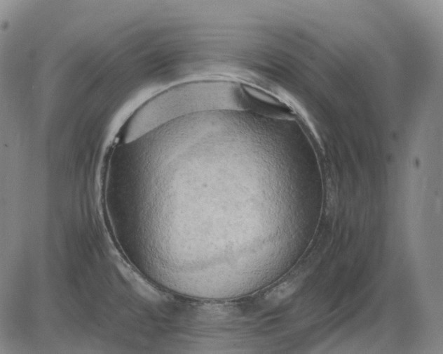 X0000083561480200702231550