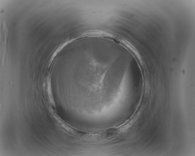 X0000083561481200702231550