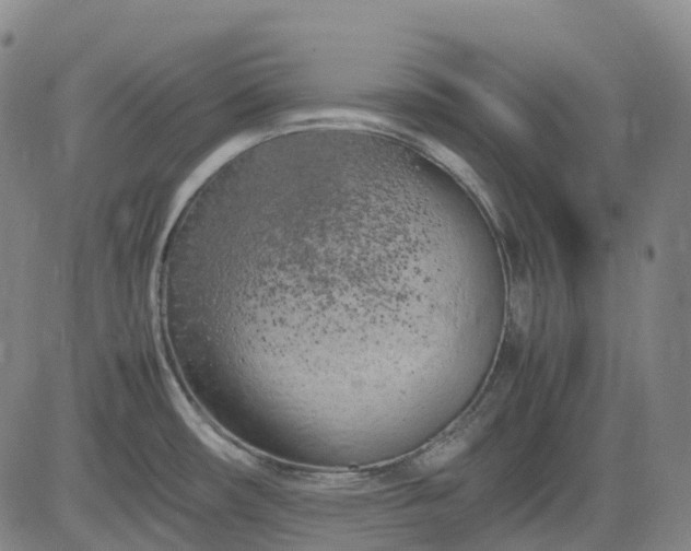 X0000083561482200702231550