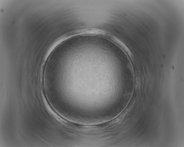 X0000083561483200702231550