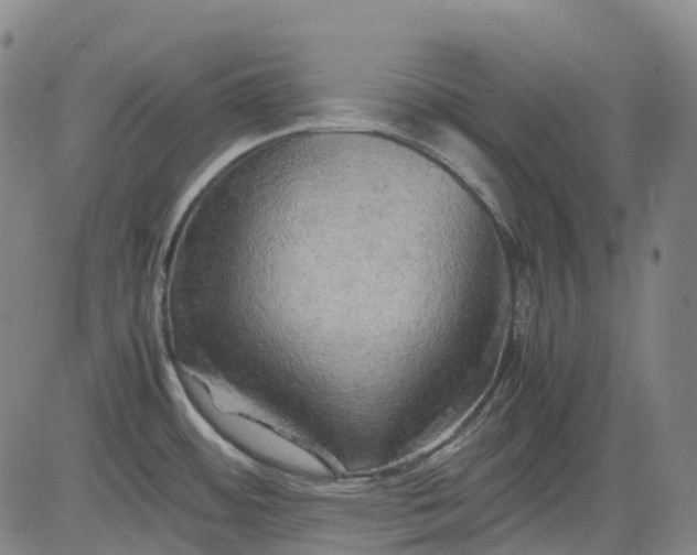 X0000083561484200702231550