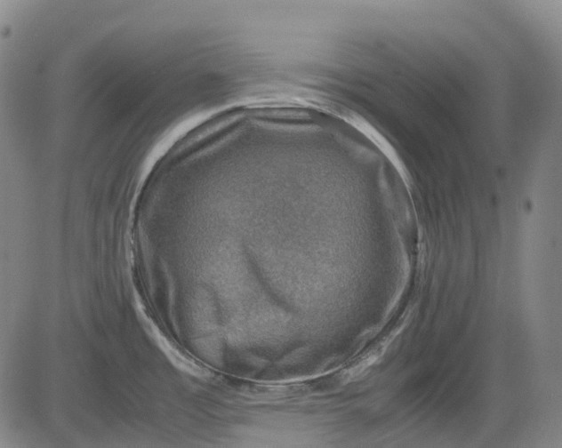 X0000083561485200702231550