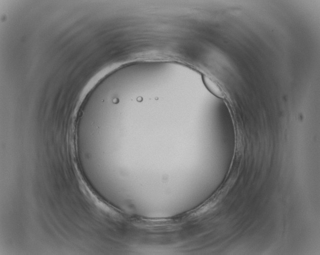 X0000083561486200702231550