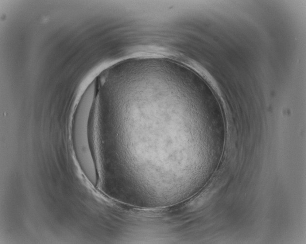 X0000083561488200702231550