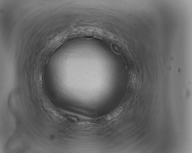 X0000083561489200702231549