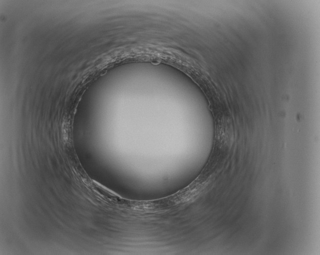 X0000083561490200702231549