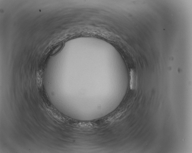 X0000083561491200702231549