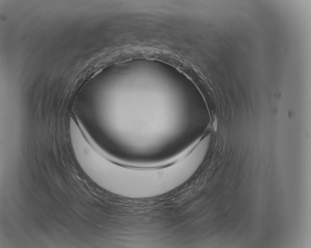 X0000083561492200702231549