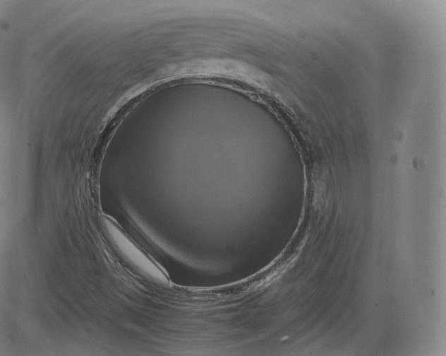 X0000083561497200702231550