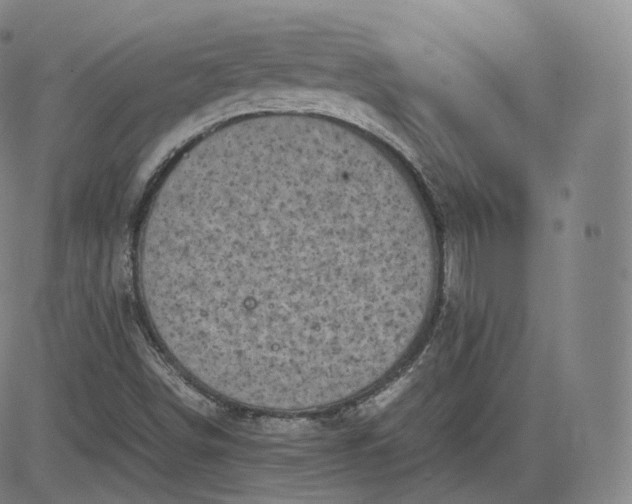 X0000083561498200702231550