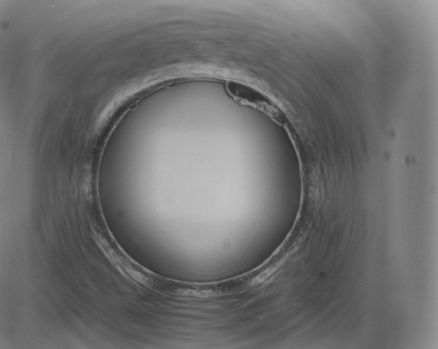 X0000083561499200702231550