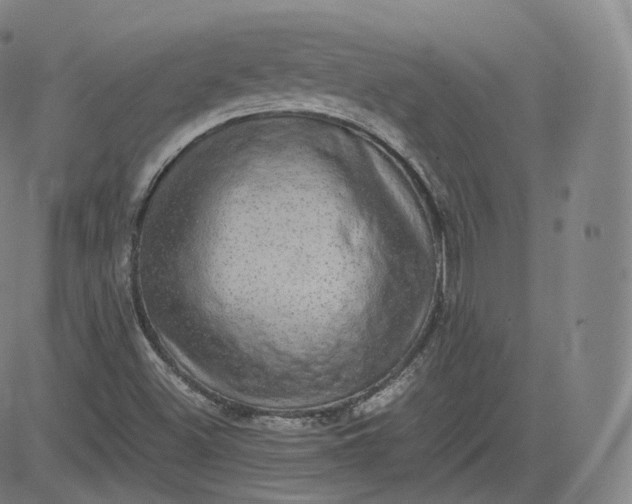 X0000083561500200702231550