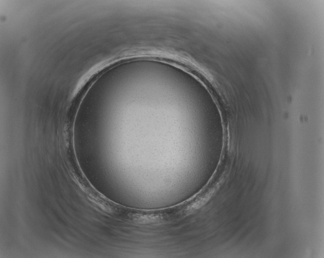 X0000083561501200702231550