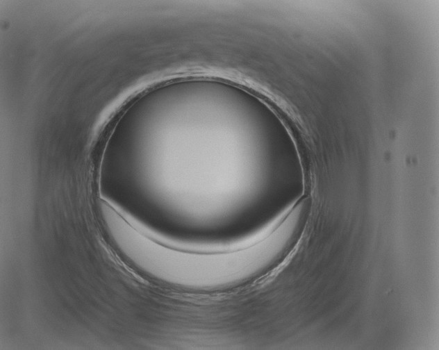 X0000083561502200702231550