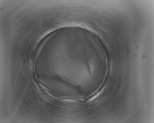 X0000083561505200702231550