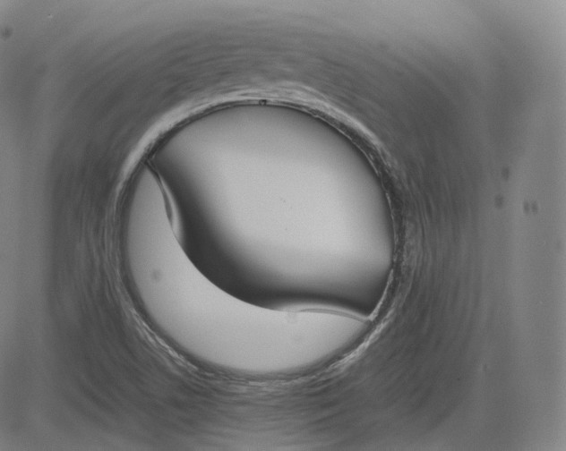 X0000083561506200702231550