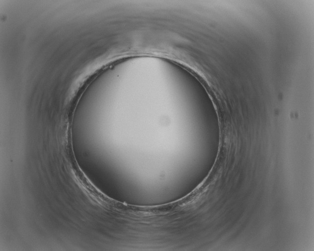 X0000083561507200702231550