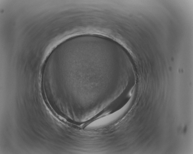 X0000083561508200702231550