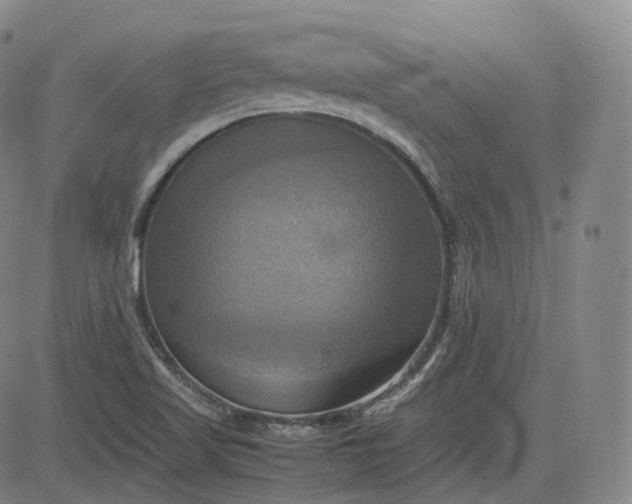 X0000083561509200702231550