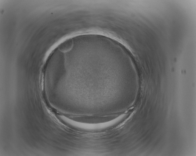 X0000083561510200702231550