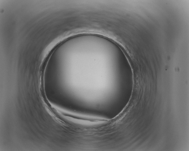 X0000083561511200702231550