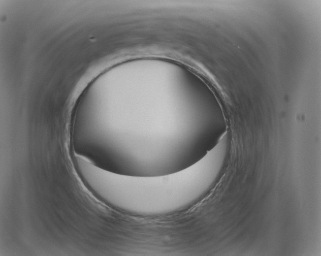 X0000083561512200702231550