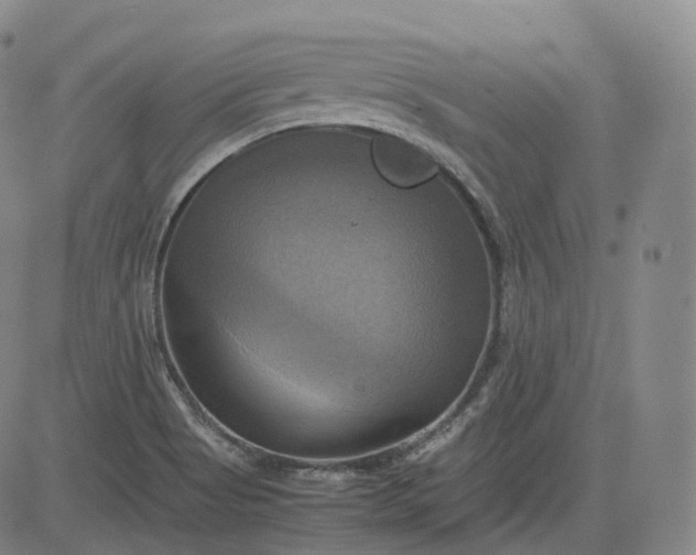 X0000083561513200702231550