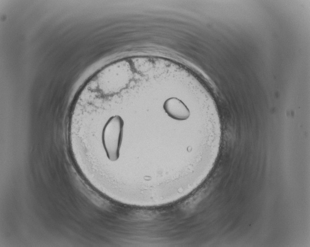 X0000083561514200702231550