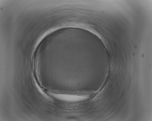 X0000083561515200702231550