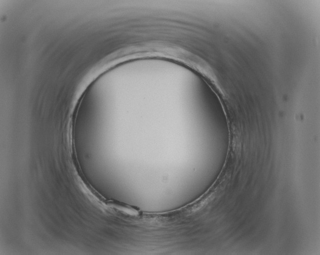 X0000083561516200702231550