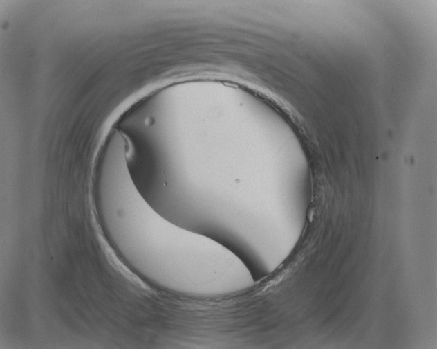 X0000083561518200702231550