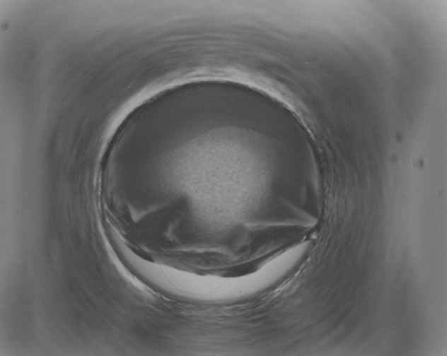 X0000083561519200702231550