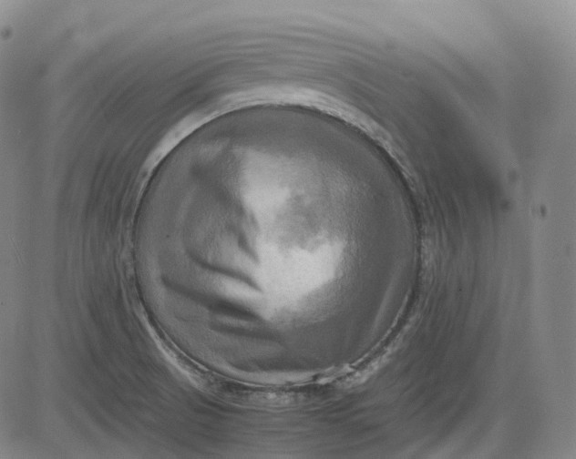 X0000083561521200702231550