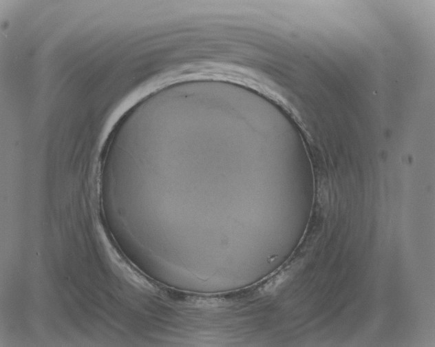 X0000083561522200702231550