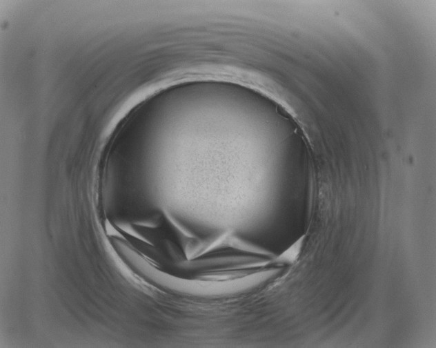 X0000083561523200702231550